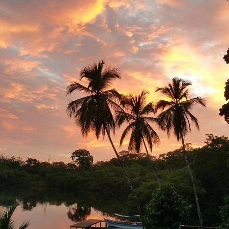 Panama Eco Resort Tierra Oscura Ngoại thất bức ảnh