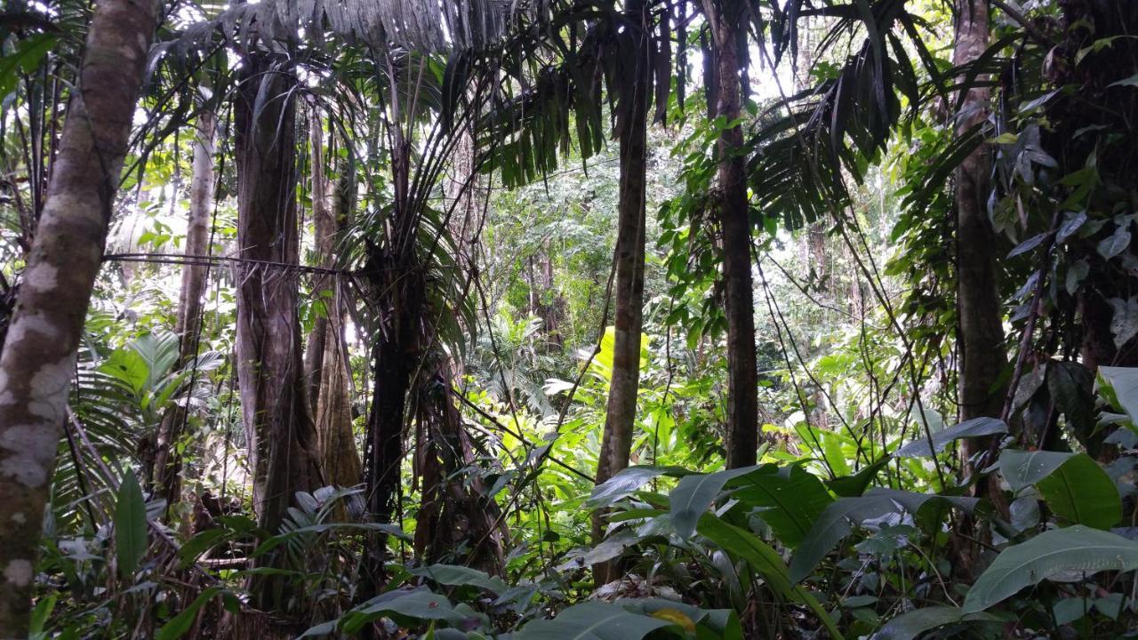 Panama Eco Resort Tierra Oscura Ngoại thất bức ảnh