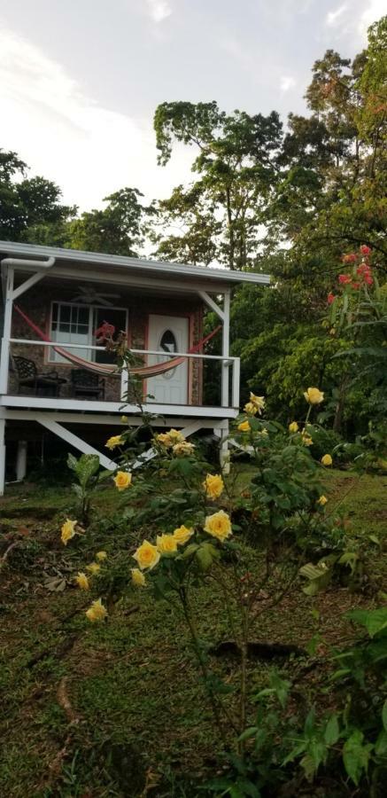 Panama Eco Resort Tierra Oscura Ngoại thất bức ảnh